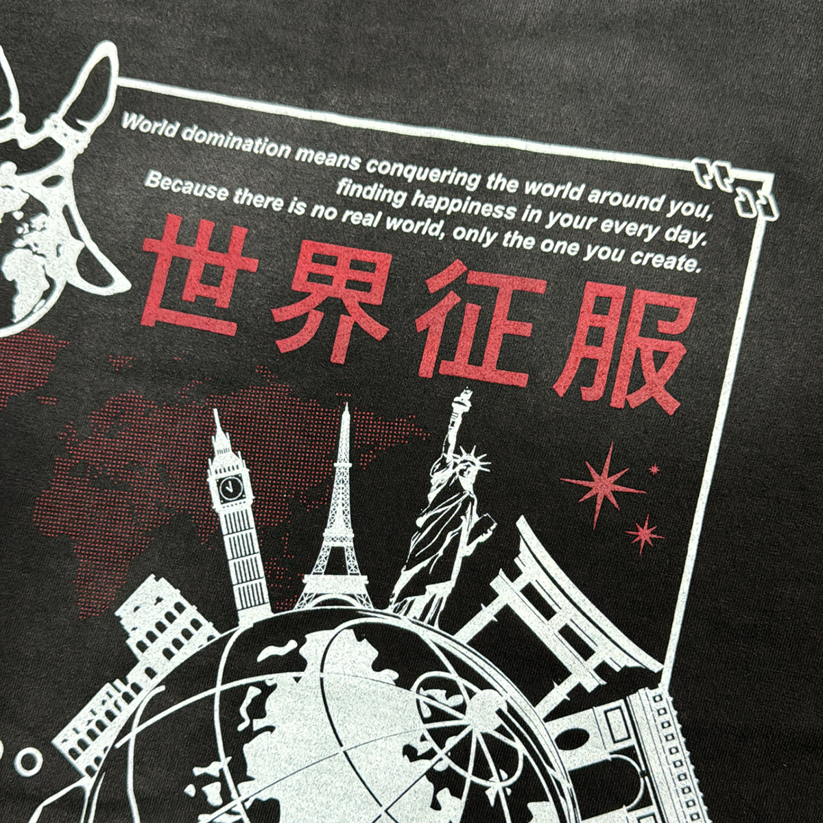 Shirt "World Domination"